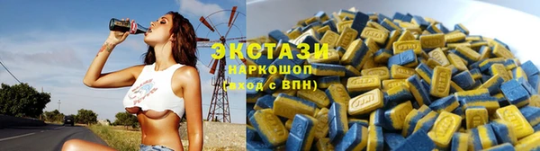 прущие грибы Надым