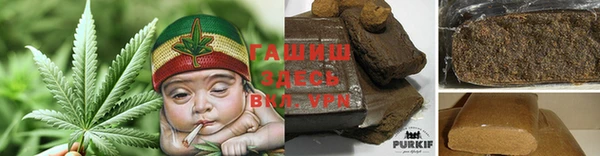 прущие грибы Надым