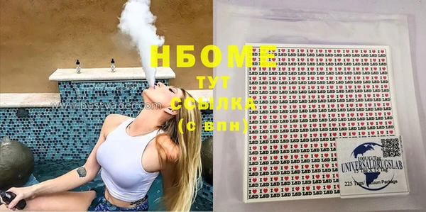 прущие грибы Надым