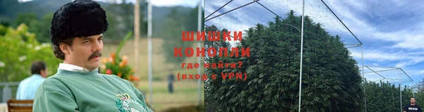 трава Гатчина
