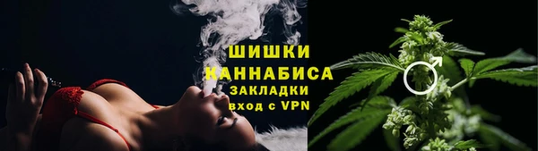 гидра Михайловка