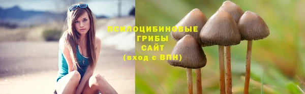 герыч Наволоки