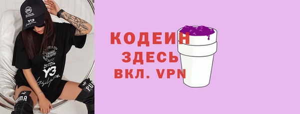 прущие грибы Надым