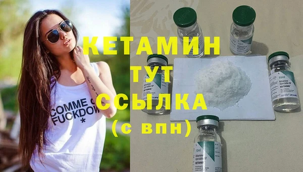 прущие грибы Надым